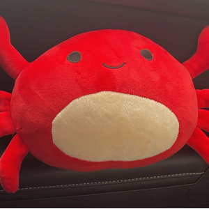 Squishmallow